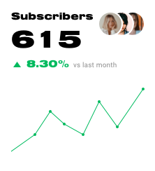 Newsletter subscriber growth chart